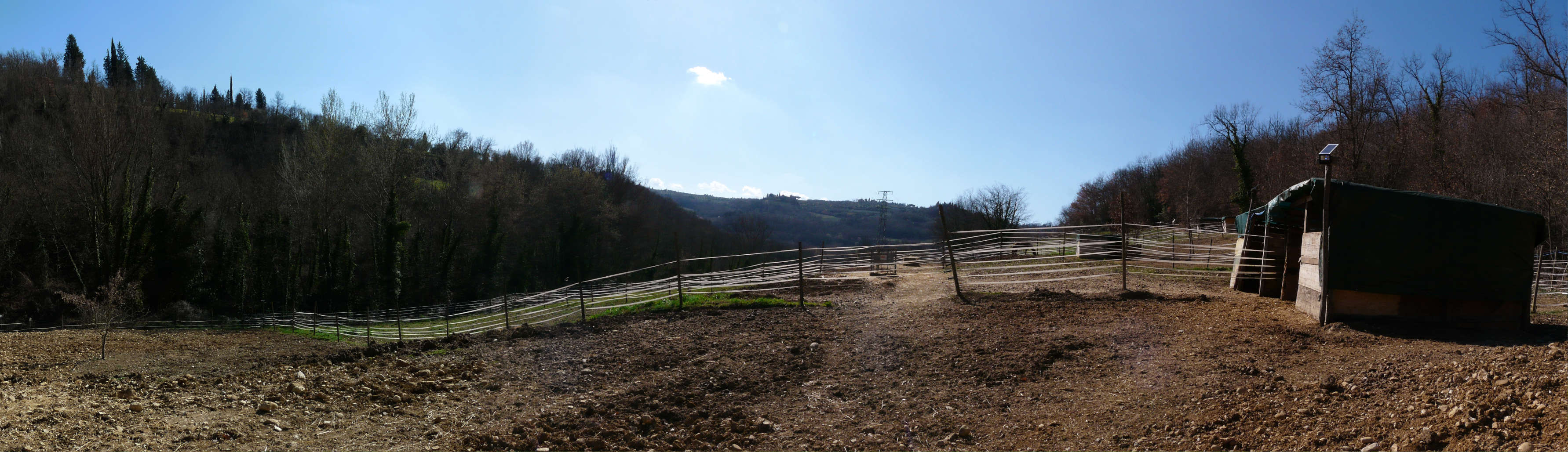 Le mie cavalle godono di tutte le cure e le attenzioni possibili