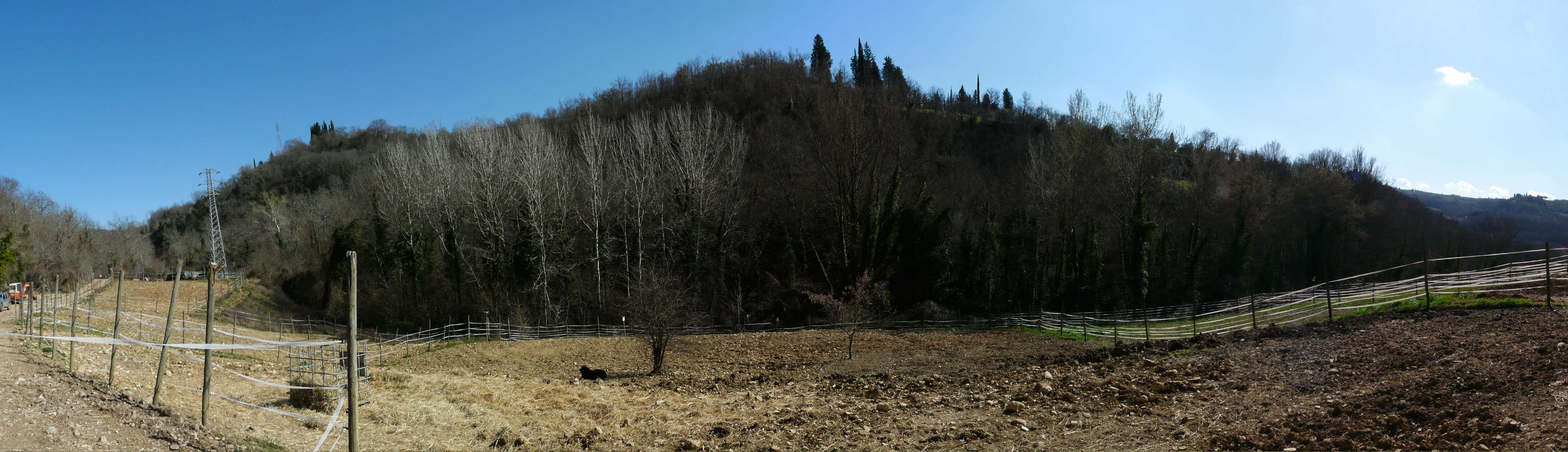 L'allevamento Butterfly Z è immerso nella natura, il silenzio e la pace
