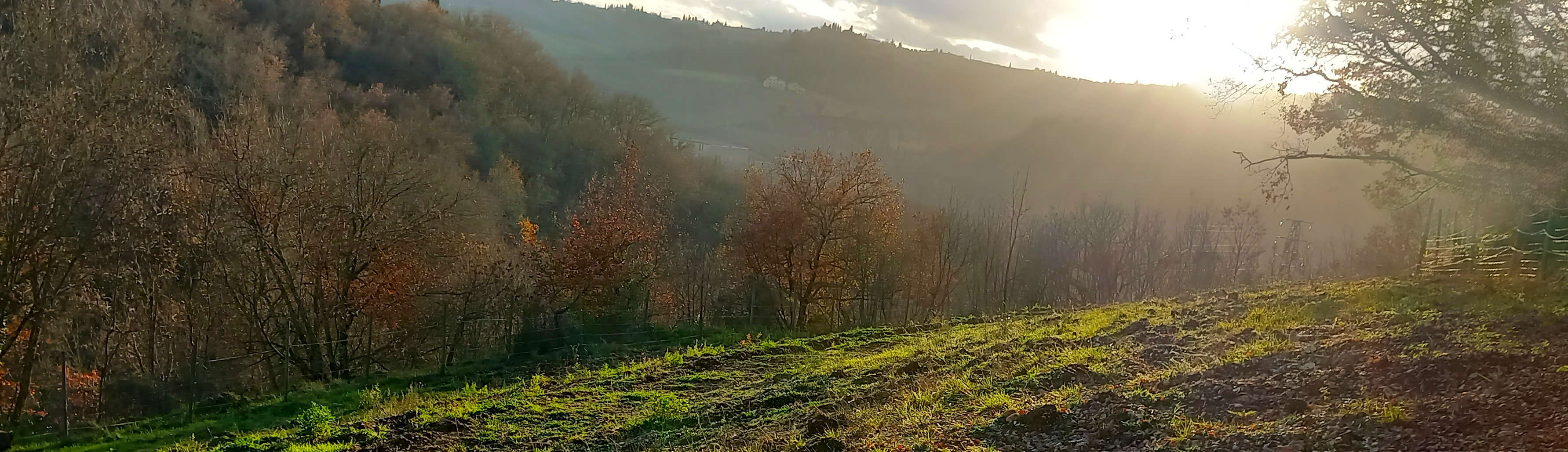 Il mio allevamento si trova nel cuore del Chianti Classico Fiorentino