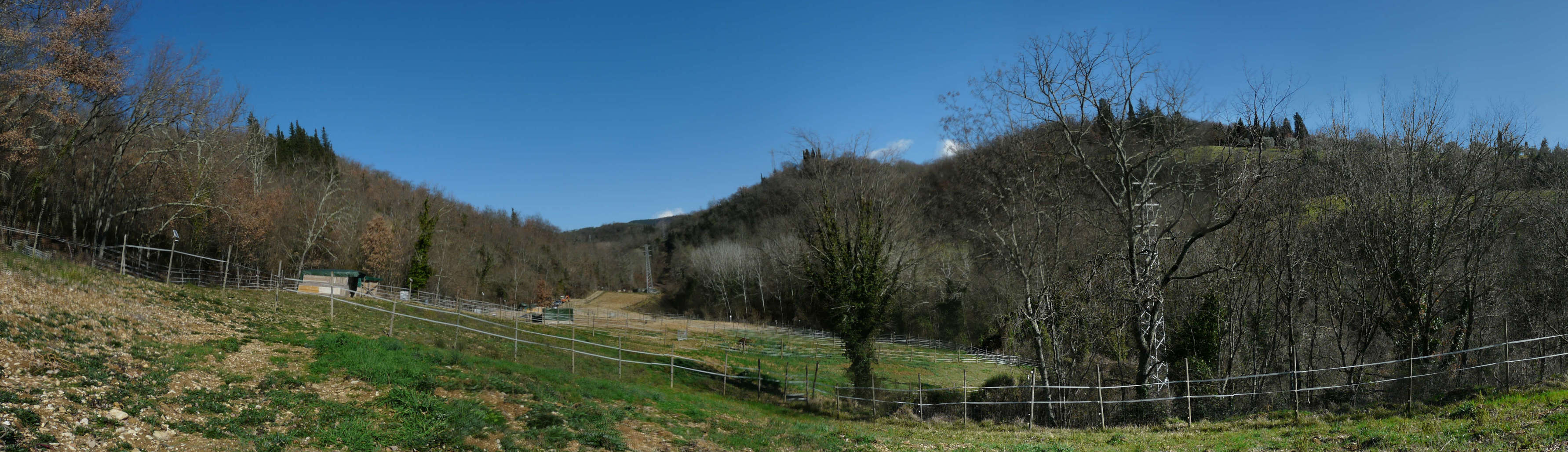 Butterfly Z jumping horse breeding